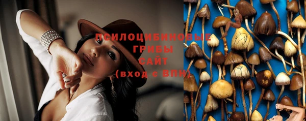 марки nbome Вяземский