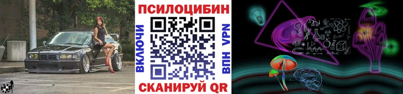 Псилоцибиновые грибы GOLDEN TEACHER  где можно купить наркотик  Медвежьегорск 